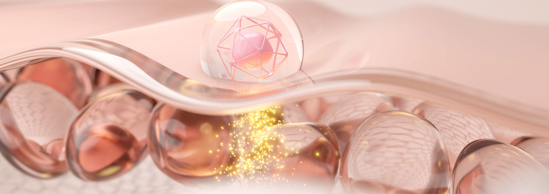 Gangnamseoyon Plastic Surgery